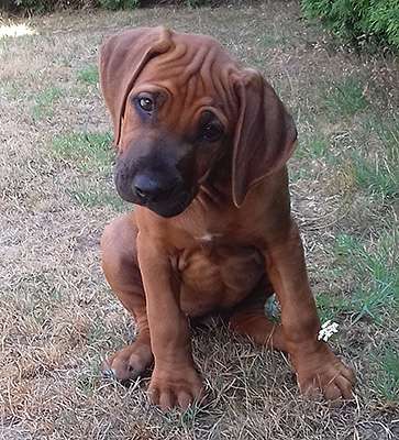 Hakuna Matata Mabou of Kimberley’s Diamonds