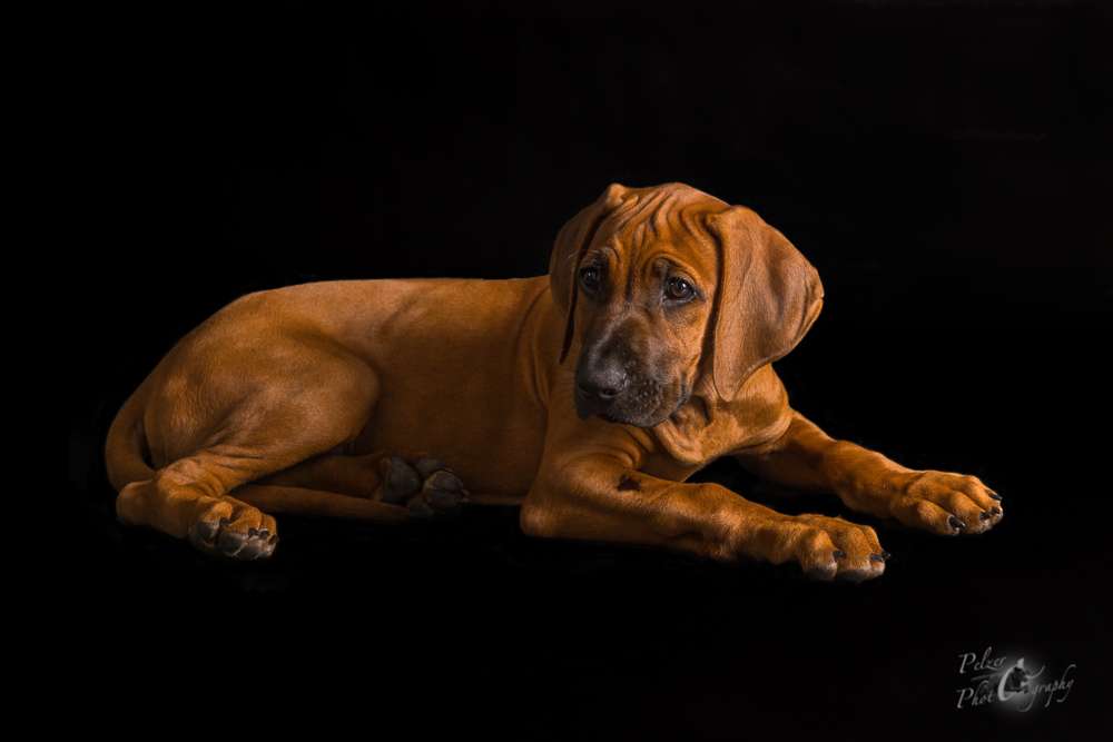 Hakuna Matata Mabou of Kimberley’s Diamonds