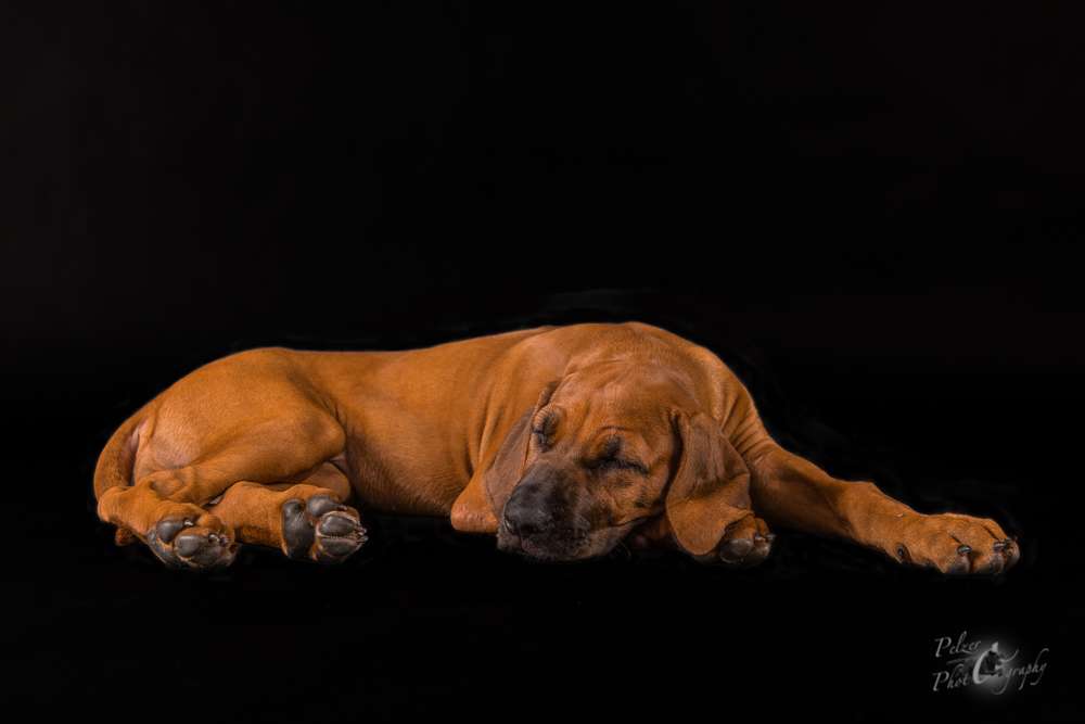 Hakuna Matata Mabou of Kimberley’s Diamonds