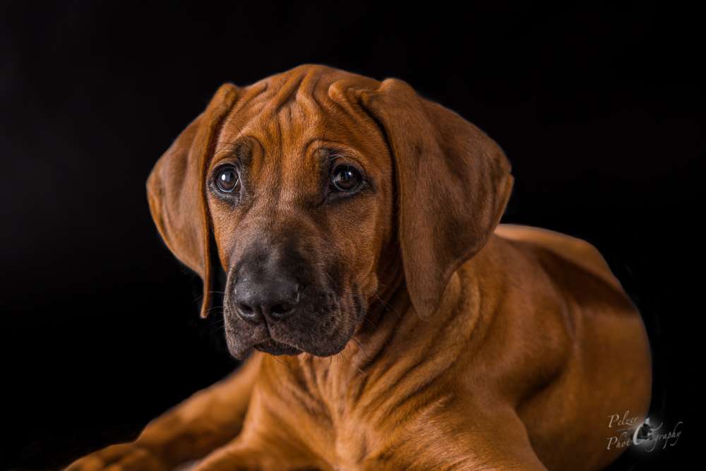 Hakuna Matata Mabou of Kimberley’s Diamonds