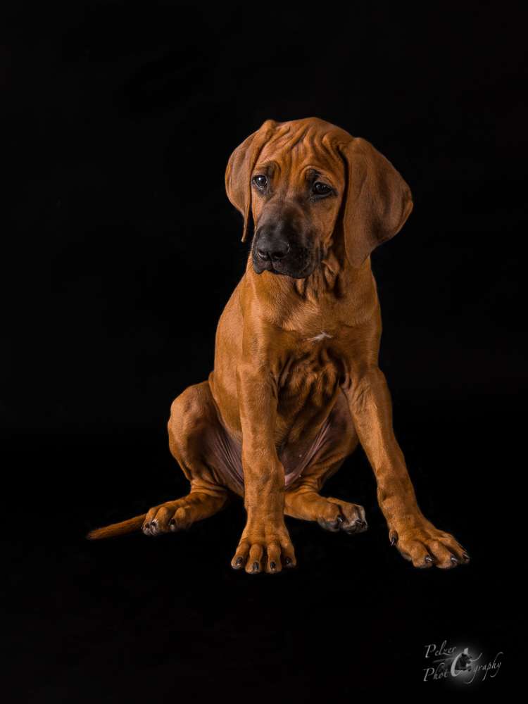 Hakuna Matata Mabou of Kimberley’s Diamonds